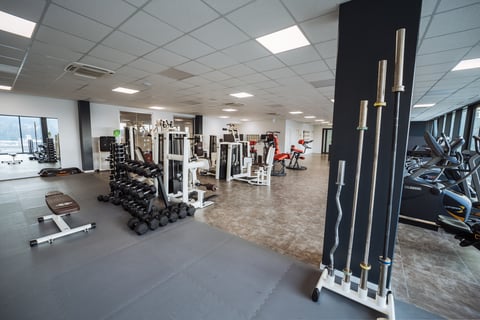 Mendrisio-palestra 2